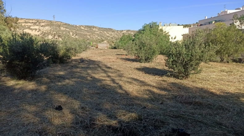 Almería - Albox - 1482m2
