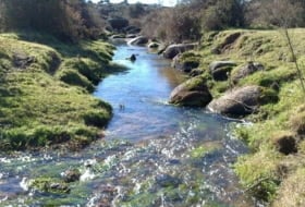 Fincas Extremadura foto
