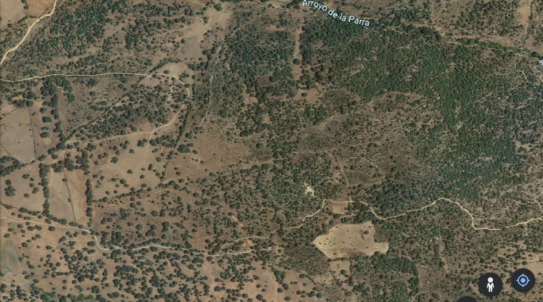 Toledo - Pelahustán - 12182m2