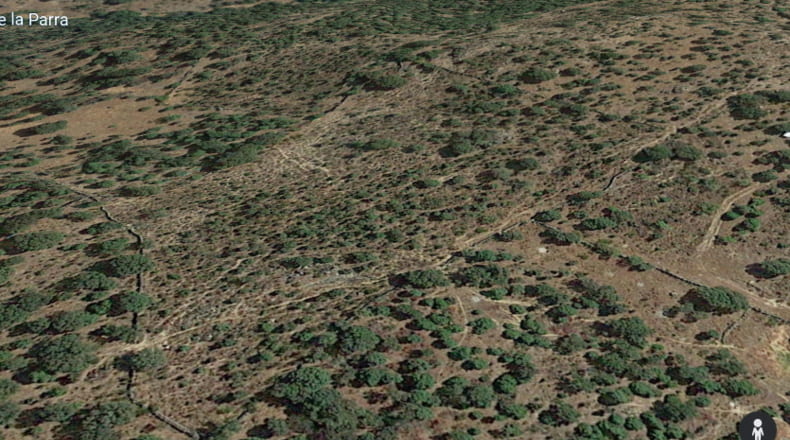 Toledo - Pelahustán - 12182m2