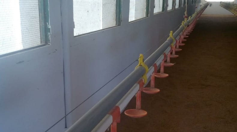 Badajoz - Badajoz - 8000m2