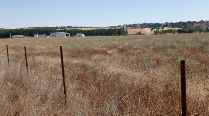 Salamanca - Gajates - 29200m2