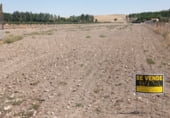 Land suitable for development for sale on Calle Ronda del Pradillo, Pedrosillo de Alba, ref: TR5726 photo