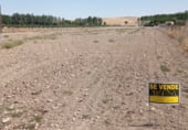 Land suitable for development for sale on Calle Ronda del Pradillo, Pedrosillo de Alba, ref: TR5726 photo