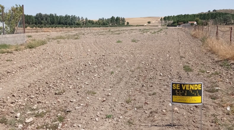 Salamanca - Pedrosillo de Alba - 23000m2