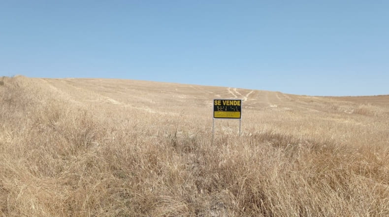 Salamanca - Pedrosillo de Alba - 39000m2