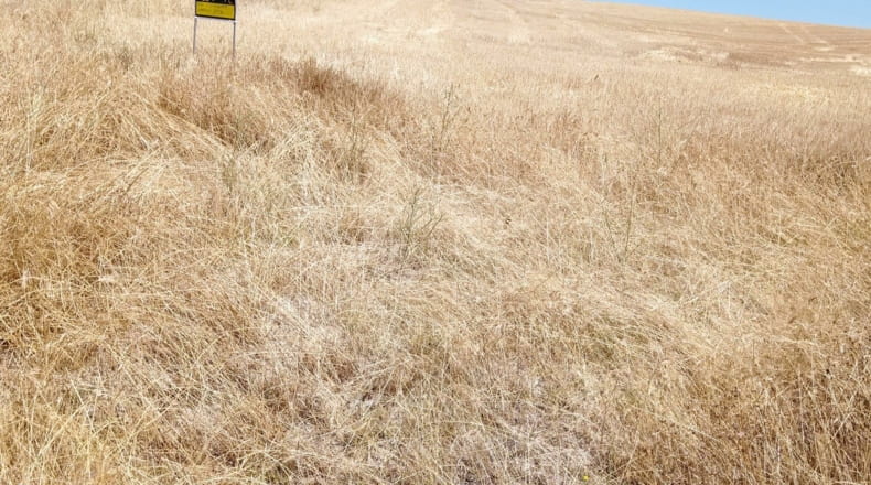 Salamanca - Pedrosillo de Alba - 39000m2