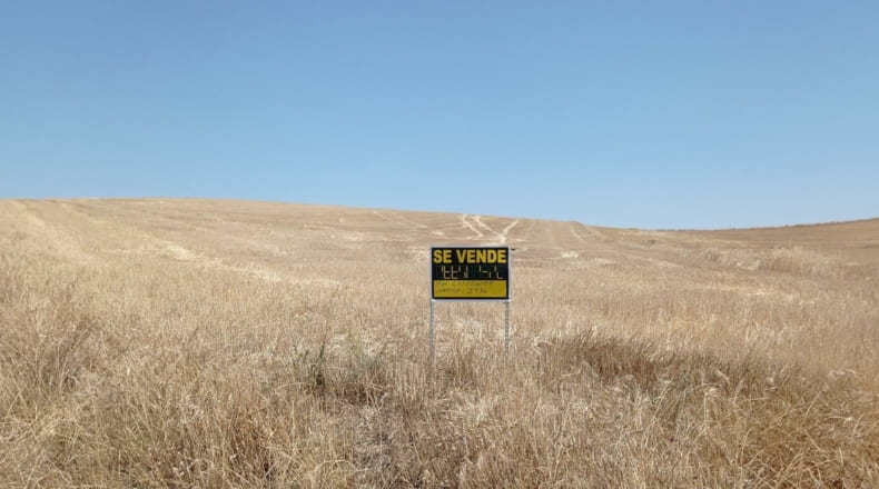 Salamanca - Pedrosillo de Alba - 39000m2