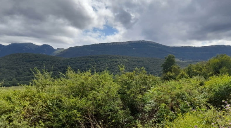 Burgos - Arceo - 10261m2