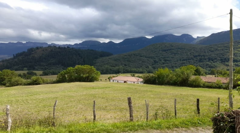 Burgos - Arceo - 10261m2