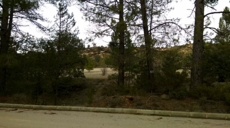 Guadalajara - Valdenaya - 6000m2