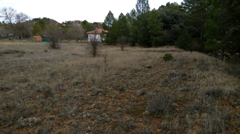 Guadalajara - Valdenaya - 6000m2