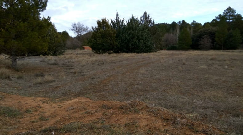Guadalajara - Valdenaya - 6000m2