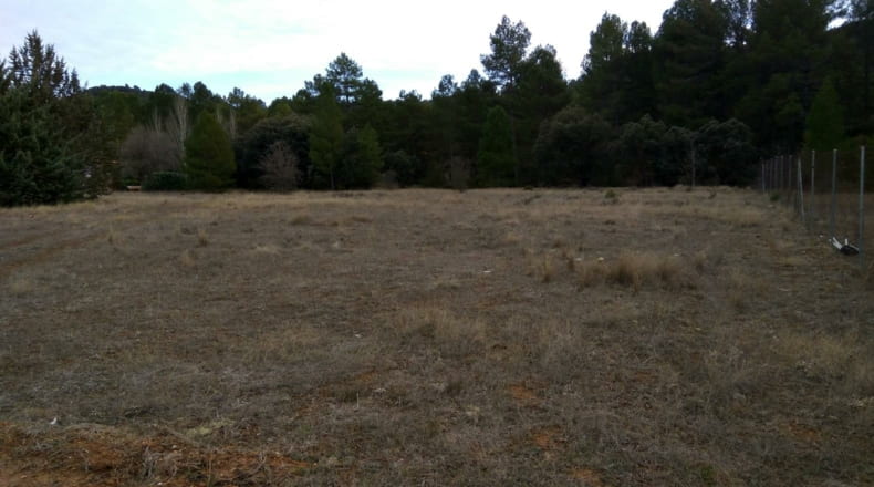 Guadalajara - Valdenaya - 6000m2