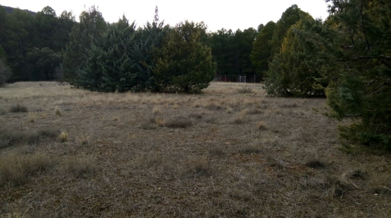 Guadalajara - Valdenaya - 6000m2