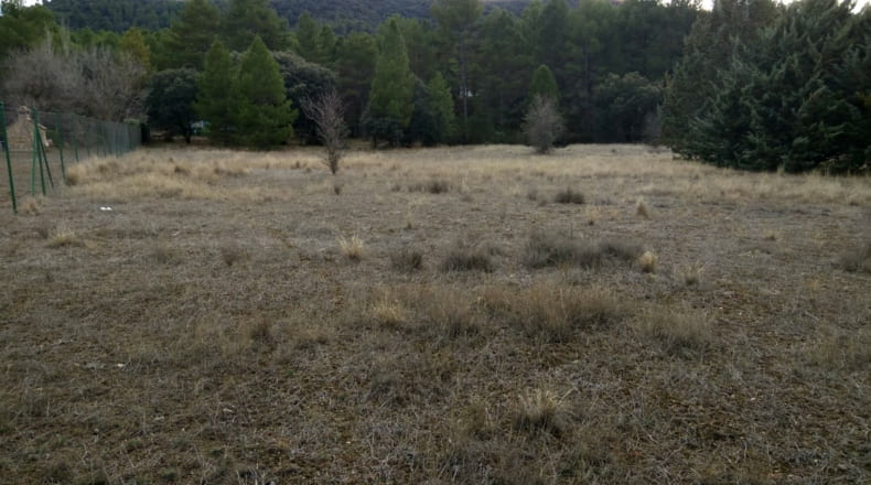 Guadalajara - Valdenaya - 6000m2