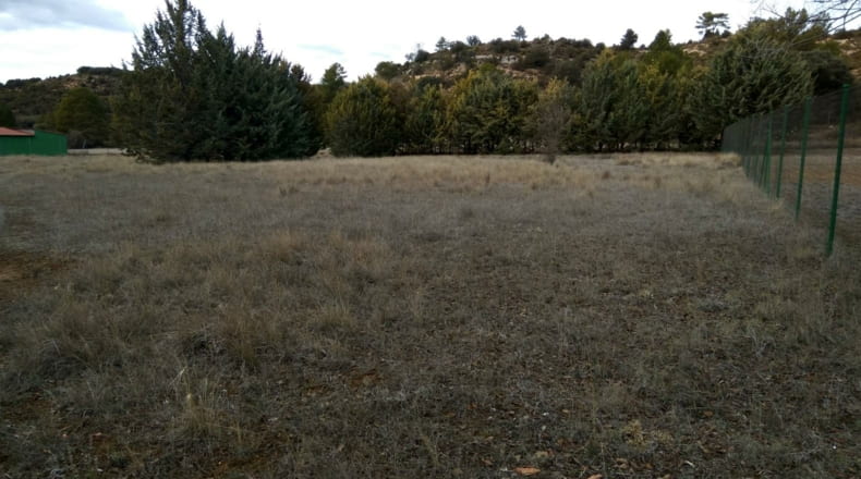 Guadalajara - Valdenaya - 6000m2