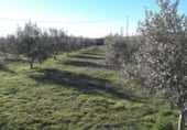 Земля, подлежащая урбанизации на продажу у города Benablón Фото
