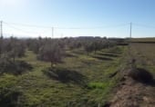 Земля, подлежащая урбанизации на продажу у города Benablón Фото