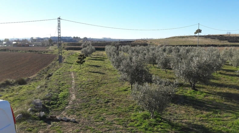 Murcia - Benablón - 8000m2