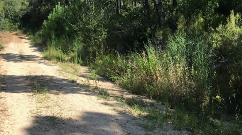 Gerona - Lloret de Mar - 900m2