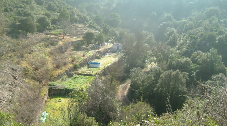 Tarragona - Porrera - 37000m2
