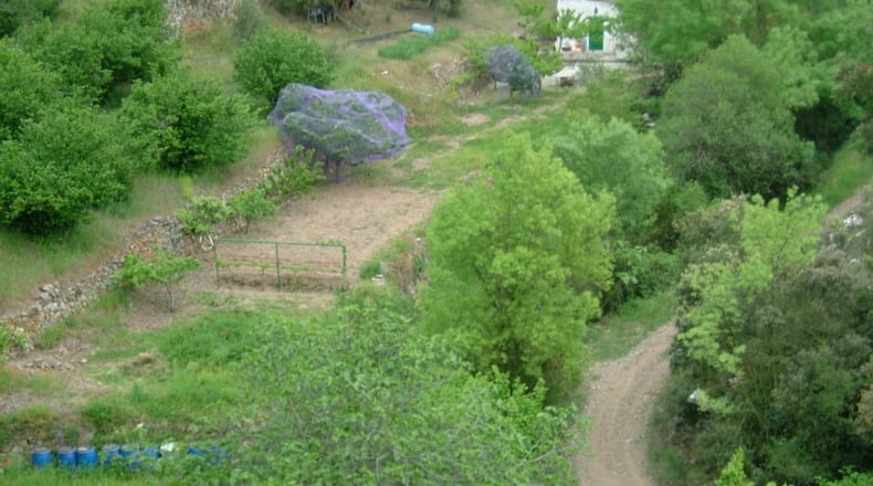 Tarragona - Porrera - 37000m2