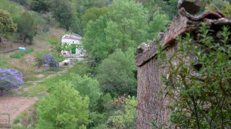 Tarragona - Porrera - 37000m2