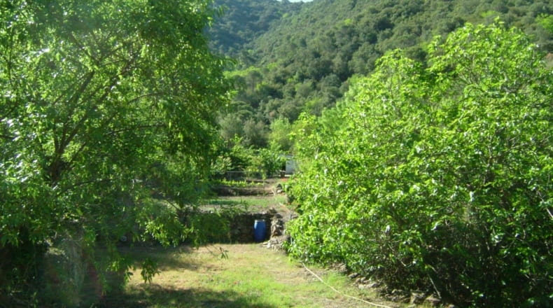 Tarragona - Porrera - 37000m2