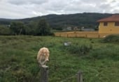 Suelo urbano en venta en la Guillade, San Román de Montoxo, ref: TR6996 foto