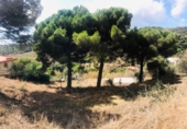 Terreno con Garaje en venta en la Carrer Montgat, Teià, ref: TR7037 foto
