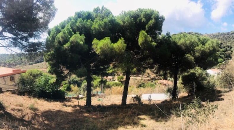 Barcelona - Teià - 580m2