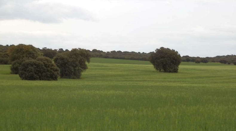 Albacete - Ossa de Montiel - 7600000m2