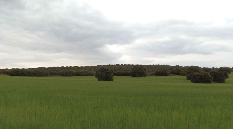 Albacete - Ossa de Montiel - 7600000m2