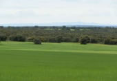 Country house with land for sale on Calle Canalejas, Ossa de Montiel, ref: TR7711 photo
