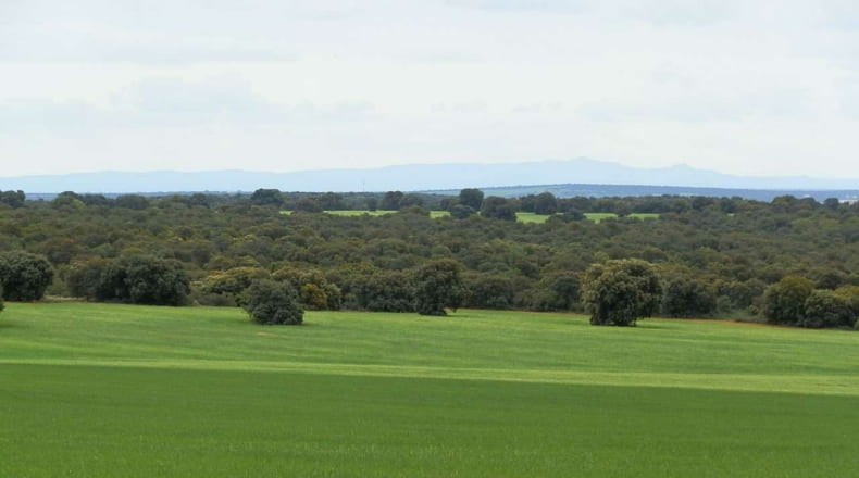 Albacete - Ossa de Montiel - 7600000m2