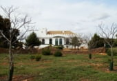 Country house with land for sale on Calle Canalejas, Ossa de Montiel, ref: TR7711 photo