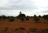 Country house with land for sale on Calle Canalejas, Ossa de Montiel, ref: TR7711 photo