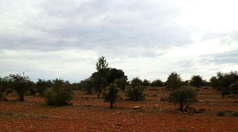 Albacete - Ossa de Montiel - 7600000m2