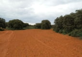 Country house with land for sale on Calle Canalejas, Ossa de Montiel, ref: TR7711 photo