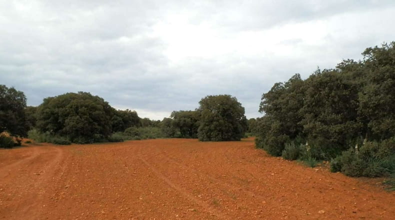 Albacete - Ossa de Montiel - 7600000m2