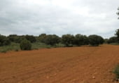 Country house with land for sale on Calle Canalejas, Ossa de Montiel, ref: TR7711 photo
