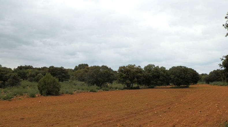 Albacete - Ossa de Montiel - 7600000m2