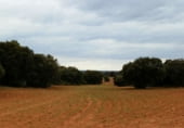 Country house with land for sale on Calle Canalejas, Ossa de Montiel, ref: TR7711 photo