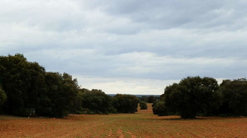 Albacete - Ossa de Montiel - 7600000m2