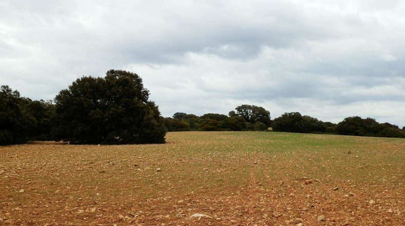 Albacete - Ossa de Montiel - 7600000m2