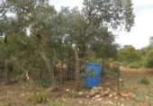 Country house with land for sale on Calle Canalejas, Ossa de Montiel, ref: TR7711 photo