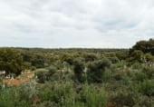 Country house with land for sale on Calle Canalejas, Ossa de Montiel, ref: TR7711 photo