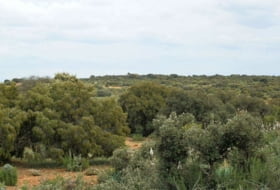 Foto 15