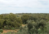 Country house with land for sale on Calle Canalejas, Ossa de Montiel, ref: TR7711 photo